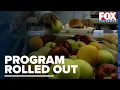 State s Have Rolled Out the Summer EBT Program This Year