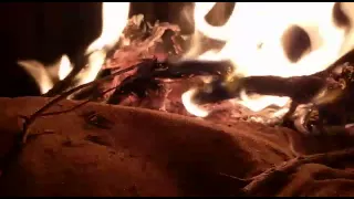 شيلة العين والقلب   دندنها
