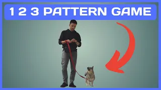 How To Teach Your Dog The 1 2 3 Pattern Game 