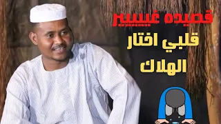 قلبي اختار الهلاك الشاعر عمر السنوسي 
