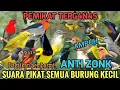 Download Lagu Suara Pikat Semua Burung Kecil ! Mp3 terbukti PALING AMPUH