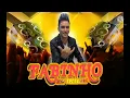 Download Lagu Meu gadinho/ nova música/ Fabinho do Acordeon