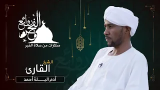 مختارات من روائع الفجر الشيخ آدم البلة Sh Adm Alballa 