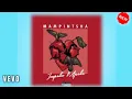 Mampintsha – Impoko Mpokoofficial Mp3 Song Download