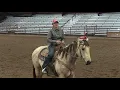 What to know about Futurity Horses