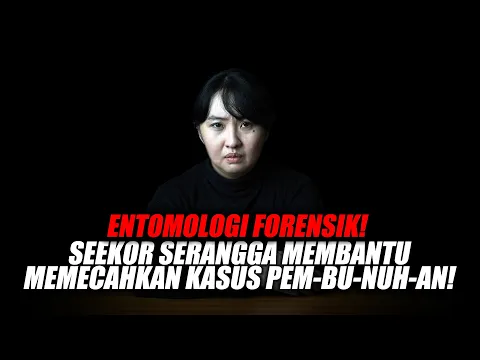 Download MP3 SERANGGA SEBAGAI SAKSINYA❗️- ENTOMOLOGI FORENSIK