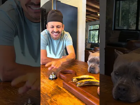 Picanha com Banana para meus Bullys 🤩🐾🥩