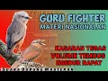 Download Lagu GURU BURUNG FIGHTER!! VOLUME TEMBUS NGEDUR RAPAT || MASTERAN TEMBAKAN RAPAT Untuk Burung FIGHTER