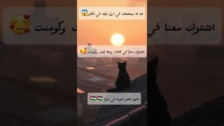 ايه الابيحصل في القبر في الليله الاولة قرآن اكسبلور ترند تصميمي لايك اشتراك 