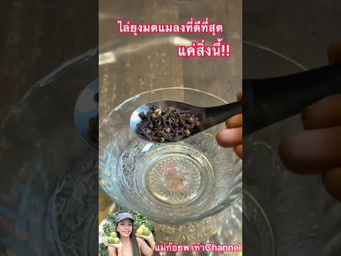 คนนับล้านไม่รู้!ช้อนเดียวไล่ยุงหายเกลี้ยง￼จิ้งจกตุ๊กแกแมงหวี่แมงวันแมงสาบหนูวิธีธรรมชาติเห็นผลดี