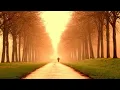 Paul Young  - What becomes of the broken hearted