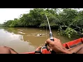 Download Lagu Mancing !! Sungguh di luar nalar berkali kali umpan di hantam dari dasar sungai 