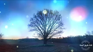 سورة النساء عبدالرحمن مسعد Surah An Nisa Abdlrahman Mosed 