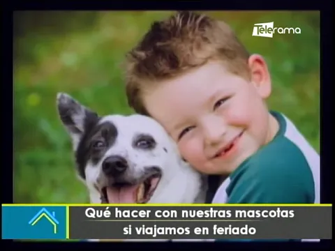 Qué hacer con nuestras mascotas si viajamos en feriado