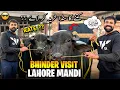 Today Waqar Bhinder Visit Lahore Buffalo Mandi 🐃😘 | کتنے کا سنڈا ملا منڈی کے حالات ؟؟