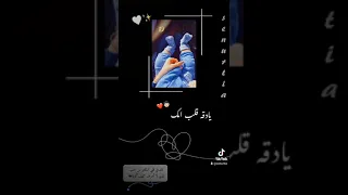 شبر بندر عم ربيك 