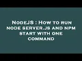 NodeJS How to run node server js and npm start with one command