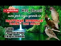 Download Lagu \