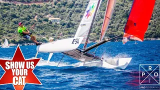 Show us your cat! Episode 94   A Tornado Special