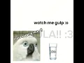 Download Lagu I JUST GOTTA GET IT WATCH ME GRAA- #cortis#kpop#capcut#bird#go#wgitachi #memes #goofyvideos #parrot