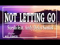 Download Lagu Suedo feat. Andy Delos Santos - Not Letting Go (LYRICS)💙