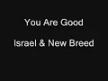 You Are Good - Israel & New Breed with Lyrics