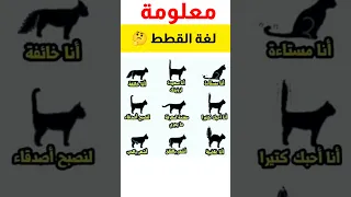 عجائب و غرائب الحيوانات لغة القطط ثقافة عامة معلومات 