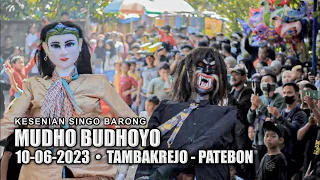 hamasine taman jurug mudho budhoyo dawangan 10 06 2023 tambakrejo patebon kendal