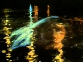 Download Lagu Shakin' Stevens - Teardrops