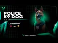FiveM Script Police Script