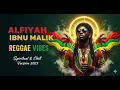 Chill Arabic Reggae 🎧 | Alfiyah Ibnu Malik Remix 2025 Style Tony Q #R11