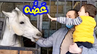 بدنا نروح على مكان جديد اسمه 
