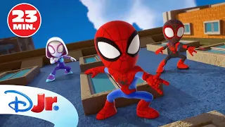 MARVEL CONOCE A SPIDEY Y SU SUPEREQUIPO: Zola por control remoto / Supergata 🕷️ | @DisneyJuniorES