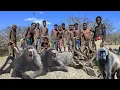 Download Lagu BABOON HUNT with the Hadzabe Tribe