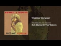 Download Lagu Positive Vibration (1976) - Bob Marley \u0026 The Wailers