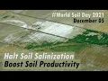 Halt Soil Salinization Boost Soil Productivity 2021