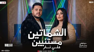 الشماتين مستنين علي نار   عايزني اقع في النار   دنيا الالفي و محمد الجزار   شعبي      لعشاق الحظ دندنها