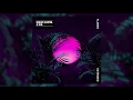 David Guetta & Sia - Flames (Extended)