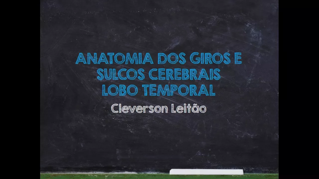 RADIODICAS - Anatomia dos sulcos e giros: Lobo temporal