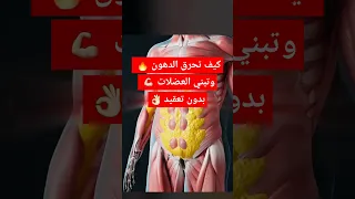7 خطوات سهلة لحرق الدهون وبناء العضلات لأي شخص شو ما كان مستواه 