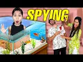 Download Lagu Spying On Sanket \u0026 Priti Using a FISH TANK | Extremly Shocking
