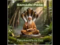 Lagu Samādhi Pāda: Disturbances in the Field | Full Album