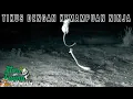 Download Lagu HEBAT TIKUS INI BERANI MENYERANG BALIK ULAR DERIK
