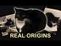 The Real ORIGINS of Maxwell The Cat