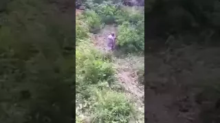 نازل عن الجبل تدحرج  هههه       دندنها