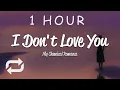 Download Lagu [1 HOUR 🕐 ] My Chemical Romance - I Don't Love You (Lyrics)