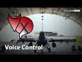 New to Falcon BMS voice control with FoxVox