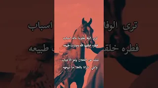 شعر عن الوفاء شعر اكسبلور 