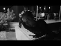 Download Lagu Dzsúdló - STRESSZ (Official Music Video)