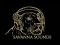Lagu Savanna sounds #song #musicsong #music #amapiano #africanbeats #song